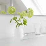 Strandhafer Apartment *