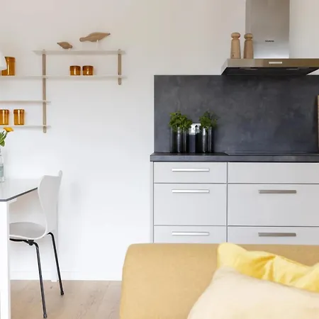 Strandhafer Apartment Bohl